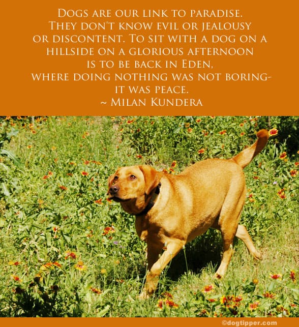 Famous Dog Quotes