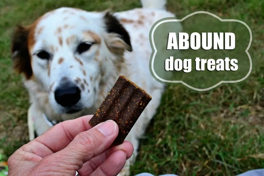 Abound grain outlet free dog treats