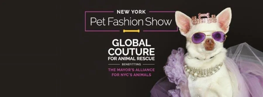 Local fashion designer wins award at New York Pet Fashion Show