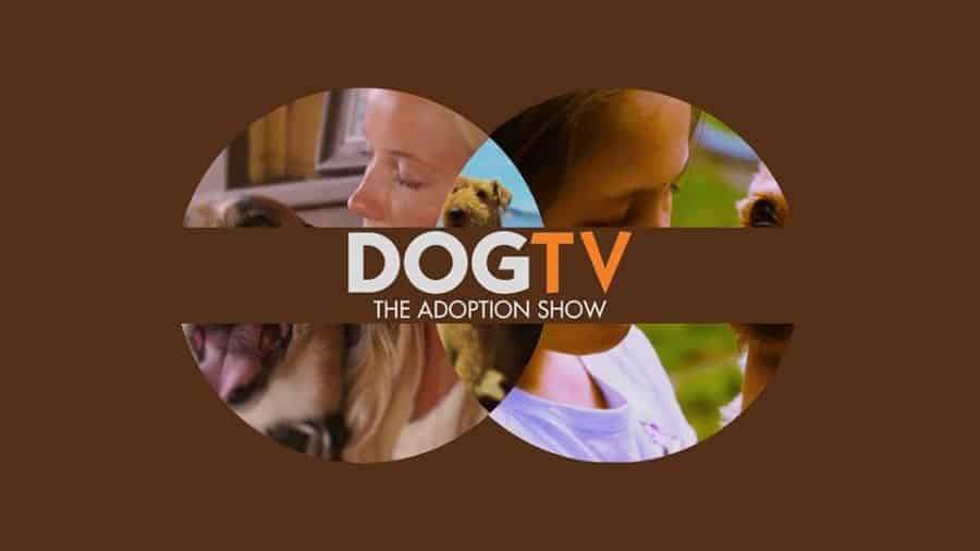 DOGTV Launches "Adoption Show" | DogTipper.com