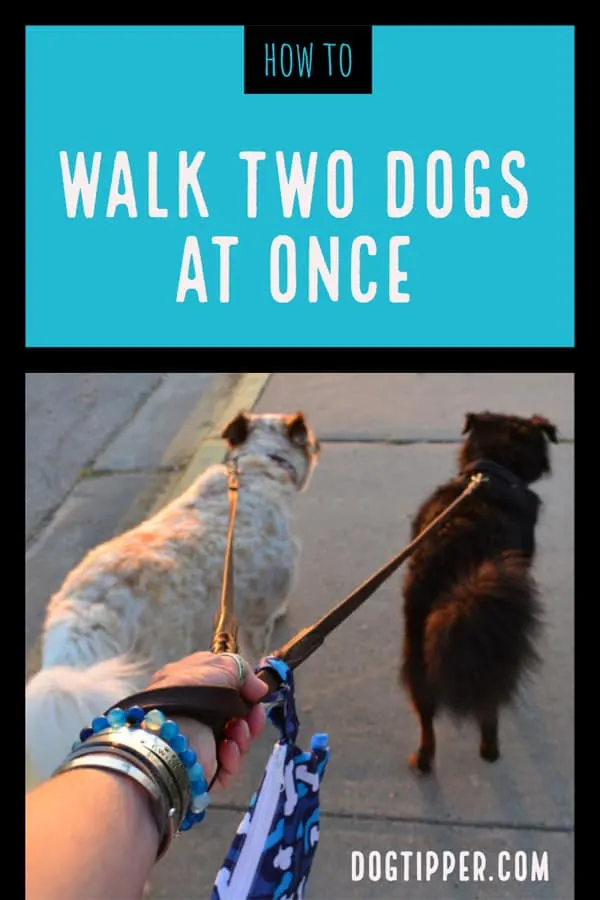 how many dogs can you walk at once