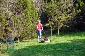 paris-mowing