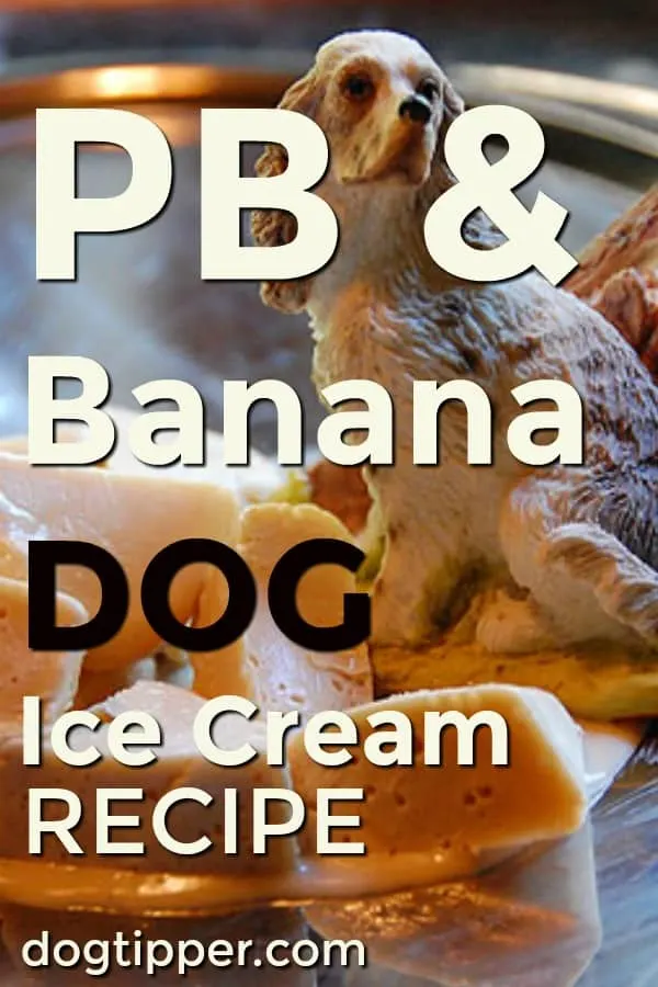 Peanut Butter and Banana Frozen Kong Treat Recipe for your Dog