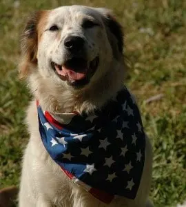 tiki-flagbandana