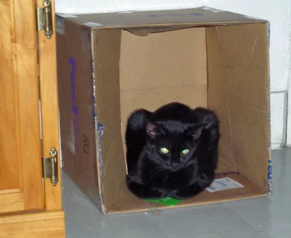 inca-box