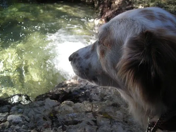 creek-tiki-closeup