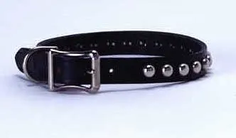 dog-collar