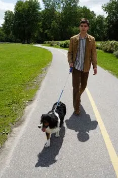 dog-walking