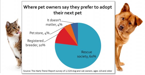 Survey Shows 60% Pet Lovers Plan to Adopt