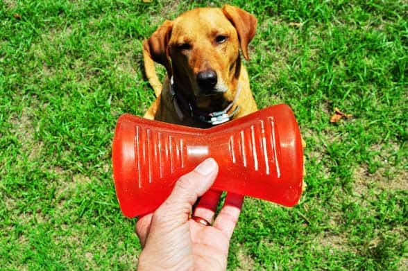 pinoy bionic dog toy