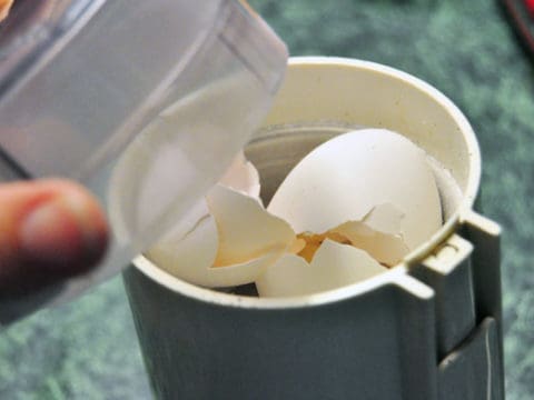 are egg shells good for dogs