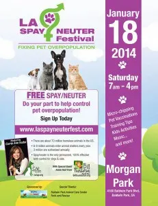 spay:neuter