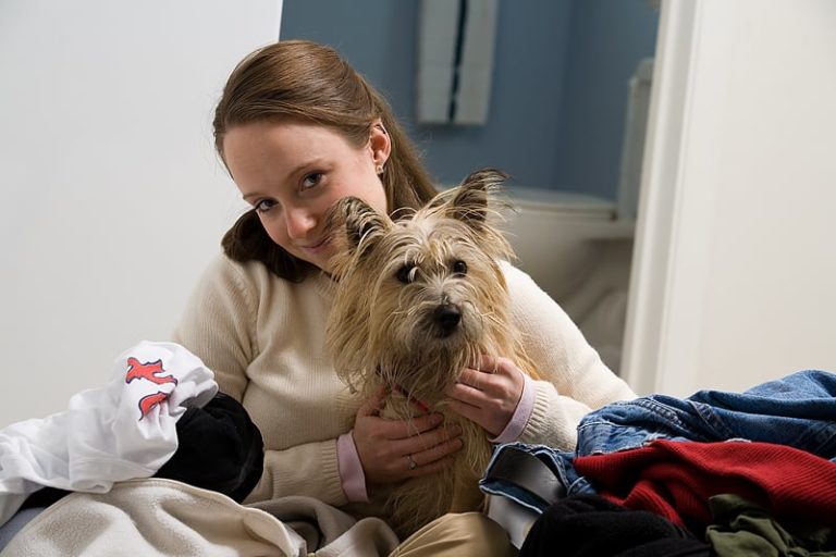 Spring Cleaning How to Clean Dog Beds