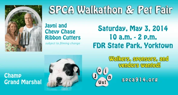 SPCA Dog Walk