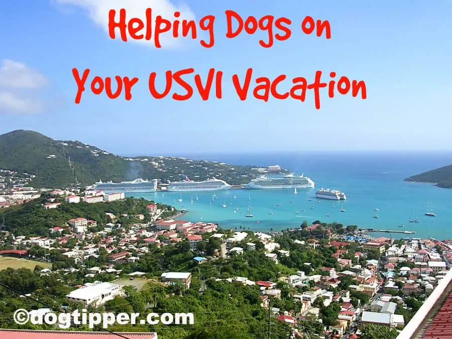 usvi-title