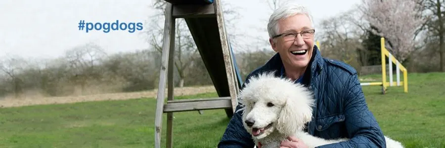 Pogdogs