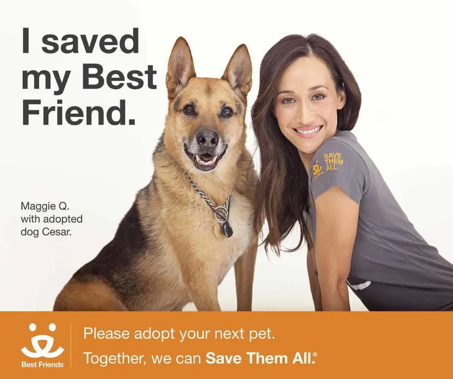 2886-I Saved-MaggieQ_FB