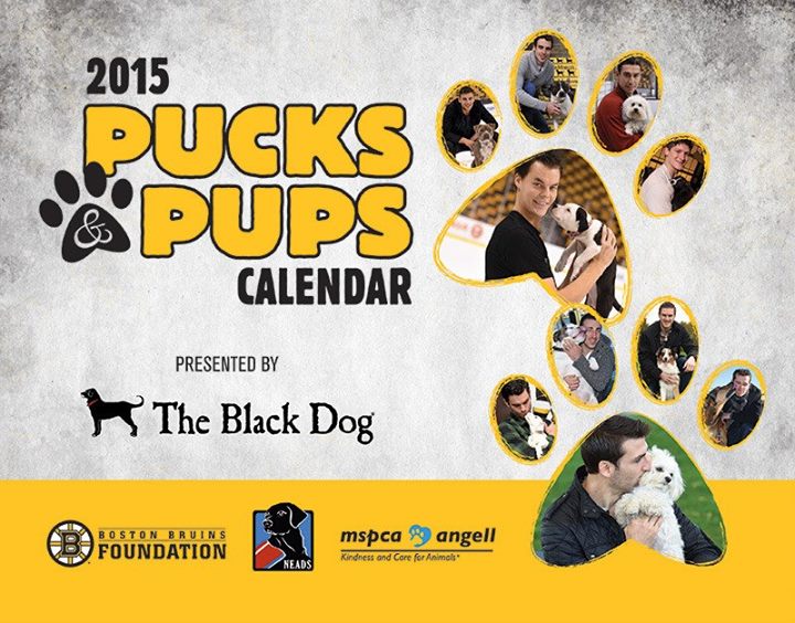 Boston Bruins Unleash 2015 Pucks & Pups Calendar