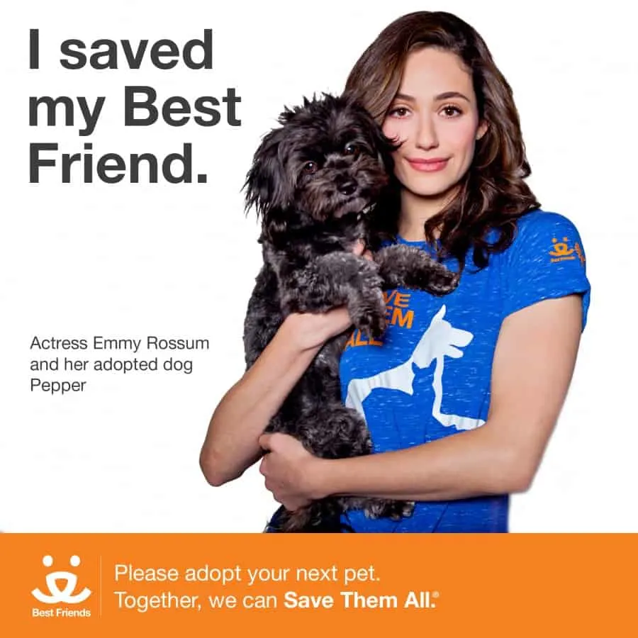 3804-I saved_EmmyRossum_IN