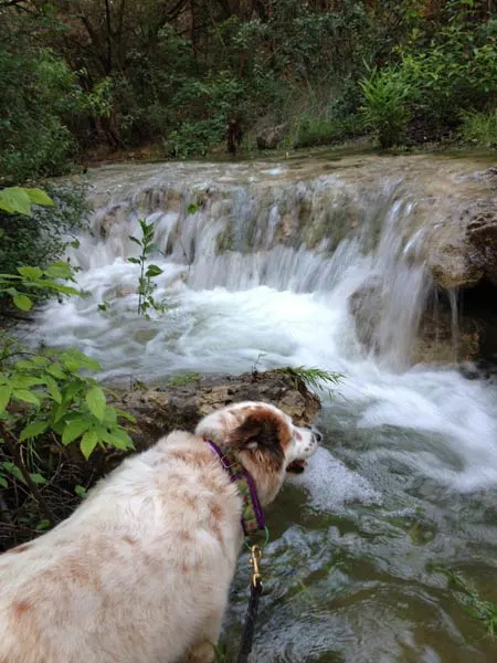 tiki-watefall