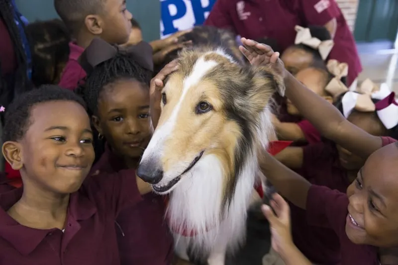 Save the Children Animal Ambassador Lassie delights children at a Save the Children "Prep Rally" at the Kingsley House Head Start Program in New Orleans. Photo by Lee Celano/Getty. (PRNewsFoto/Save the Children)