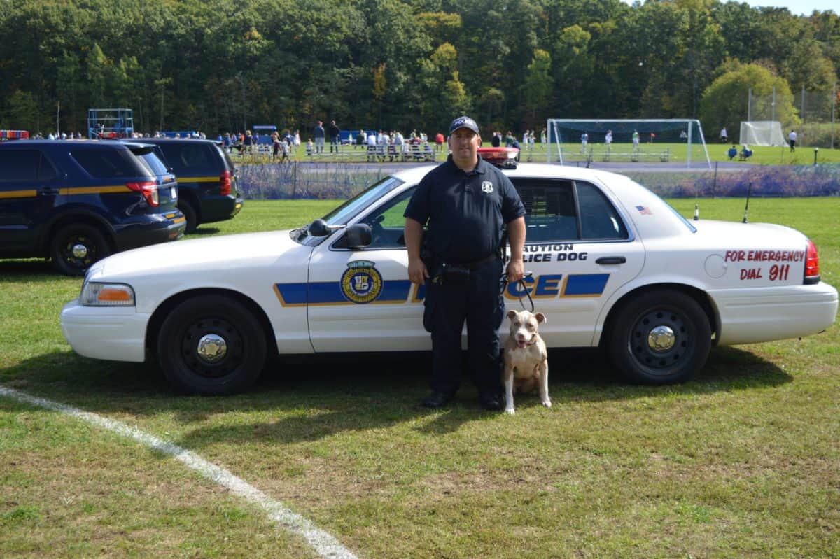 can pitbulls be used as police dogs