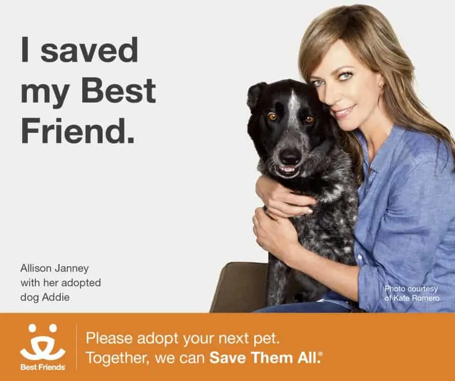 5245-I Saved-Allison Janney_FB