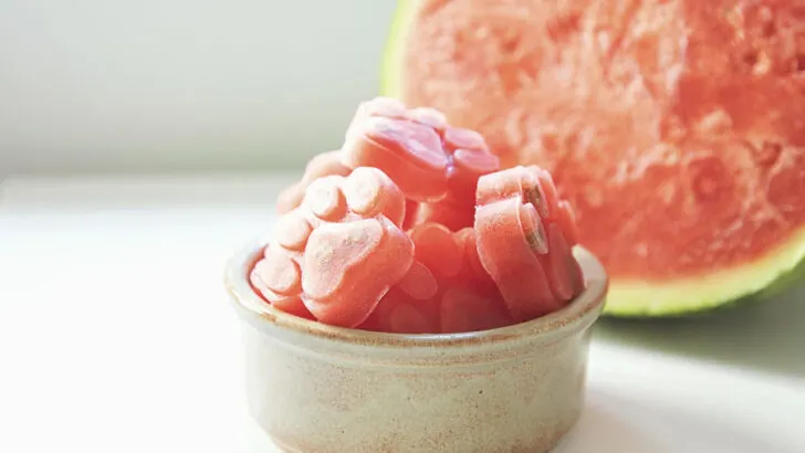 frozen watermelon dog treats