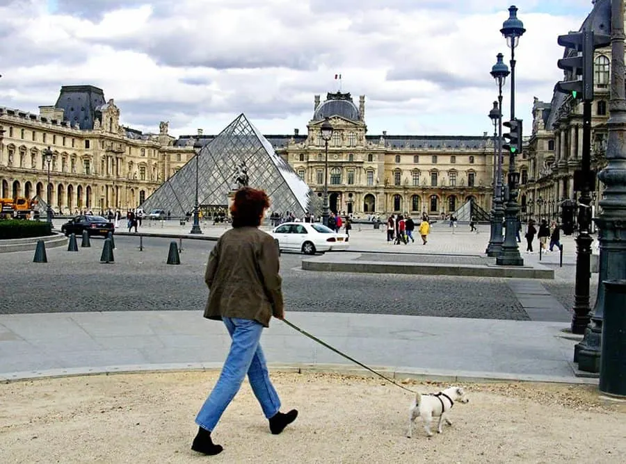 dog-louvre