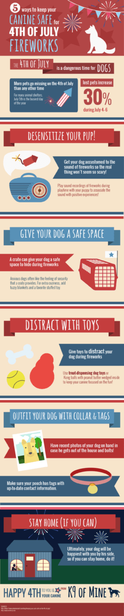 5 Ways to Keep Your Dog Safe During Fireworks | infographic