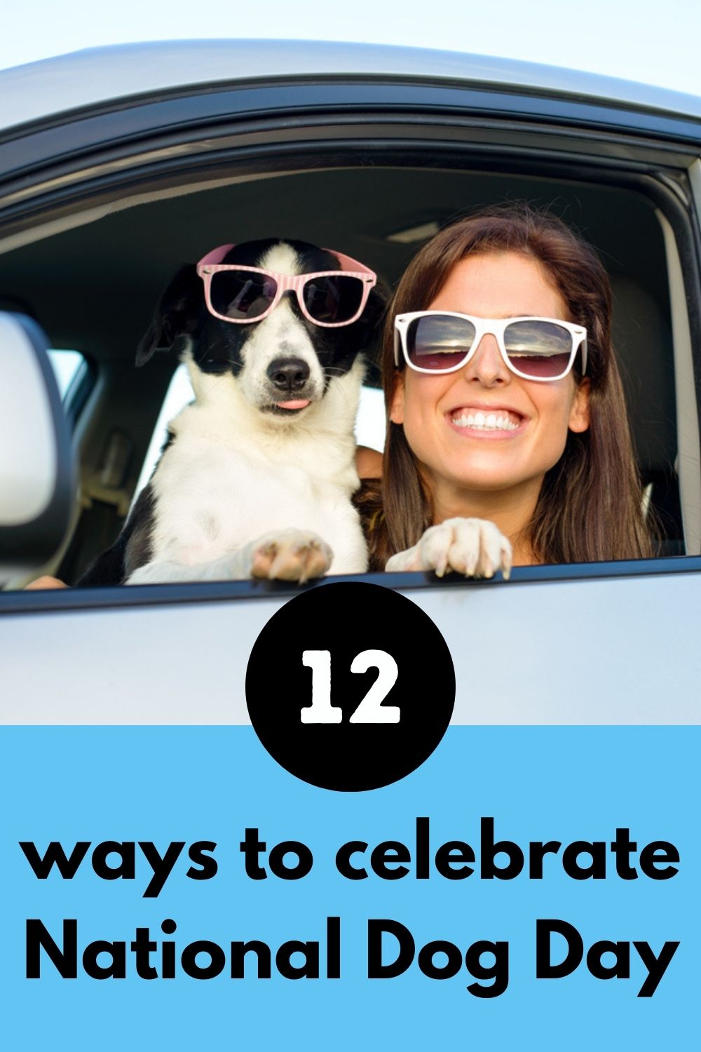 12 Tips to Help Celebrate National Dog Day with a DogFriendly Day Trip