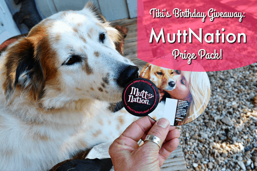 muttnation t shirts