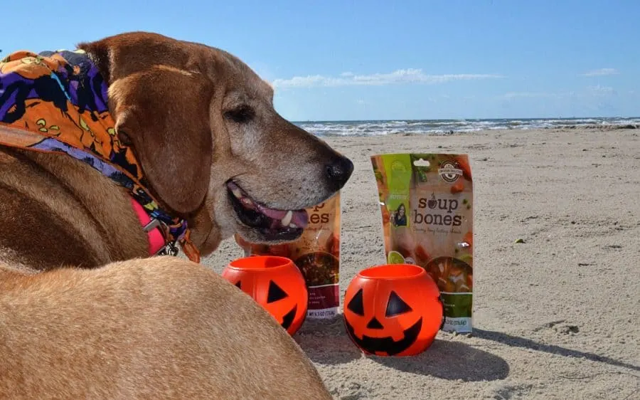 irie-soup-bones-beach