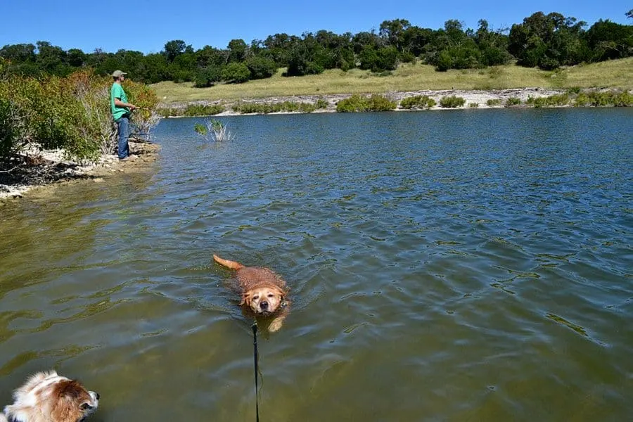 lake-irie-swimming