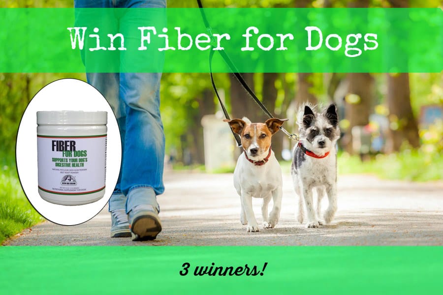 giveaway-win-fiber-for-dogs-3-winners