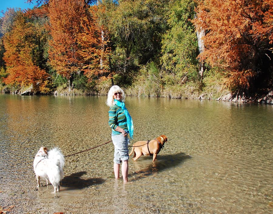 are dogs allowed at boerne lake