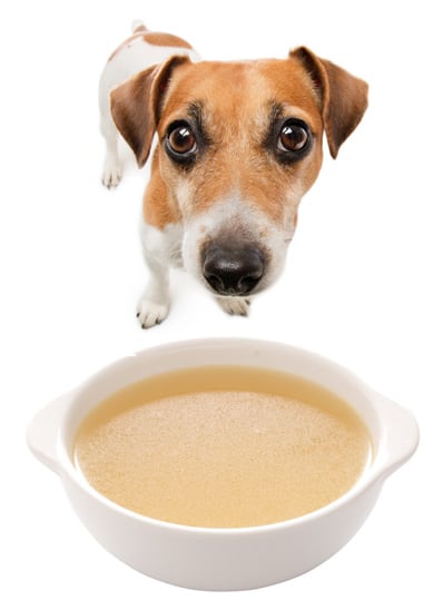 how long boil bones safe for dogs