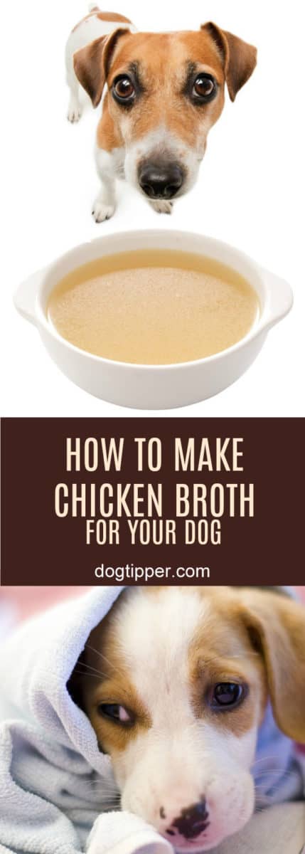 How To Make Healthy Chicken Broth For Dogs