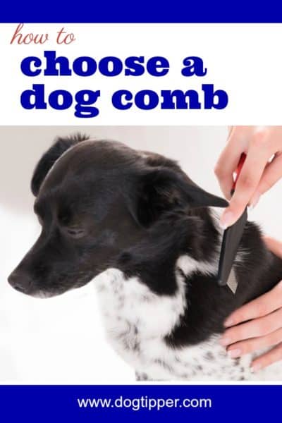 How To Choose A Dog Comb