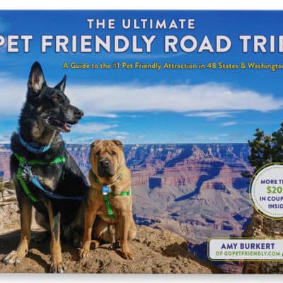 dog friendly road trip planner