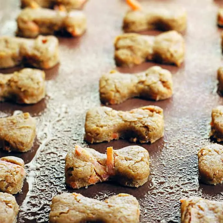 Peanut Butter and Carrot Dog Treats