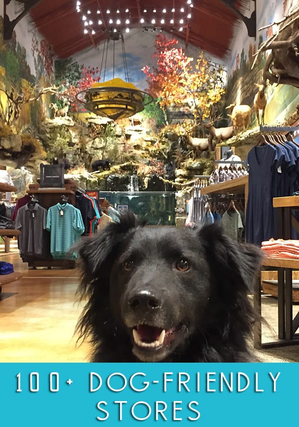 Dog Friendly Stores 100+ Stores to Shop with Your Dog