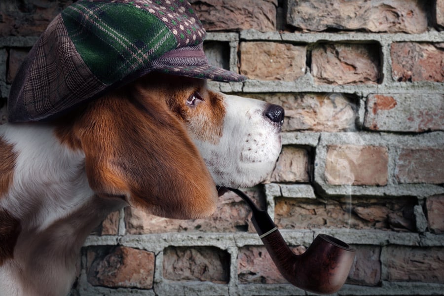 Sherlock Holmes Dog Names