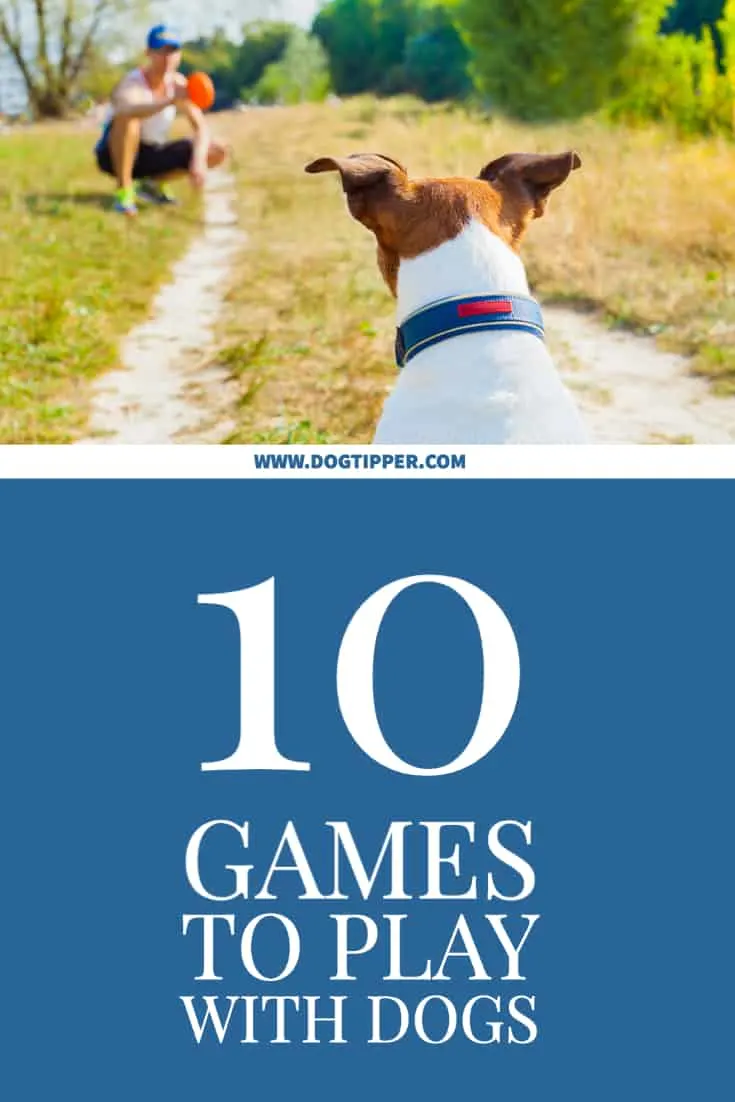 30 Dog Games to Play with Pups Young and Old, Indoors and Out