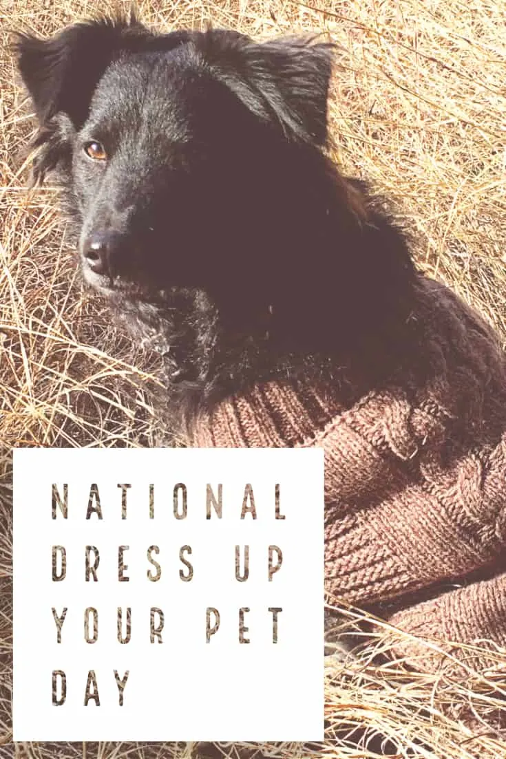 Here's Some Serotonin: National Dress Your Pet Day