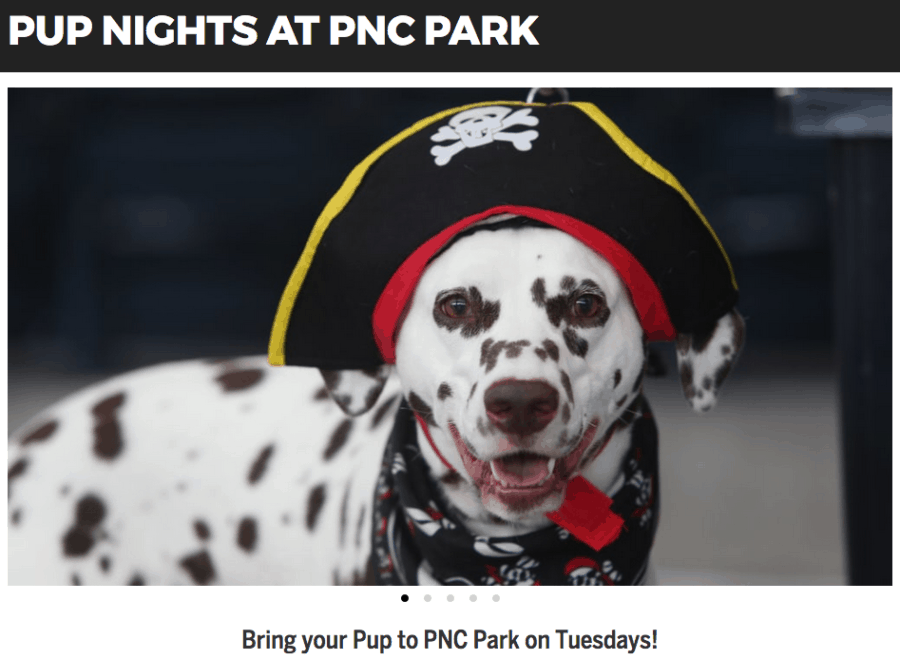 Midland baseball going to the dogs: 'Bark in the Park' Wednesdays among  Loons' new promotions