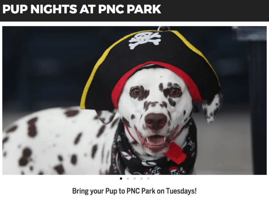 Pup-Night at PNC Park