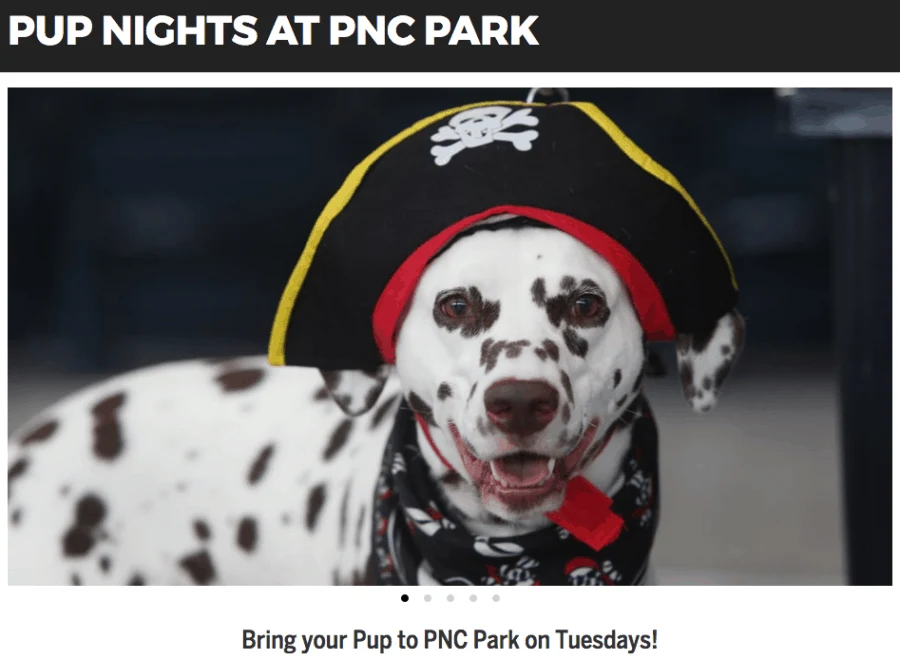 Pooches in the Ballpark - Travel Tails