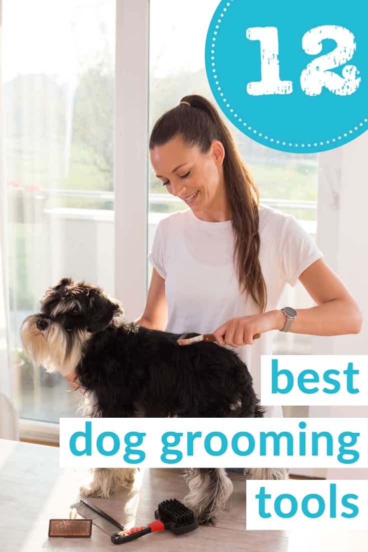 Best Dog Grooming Tools 