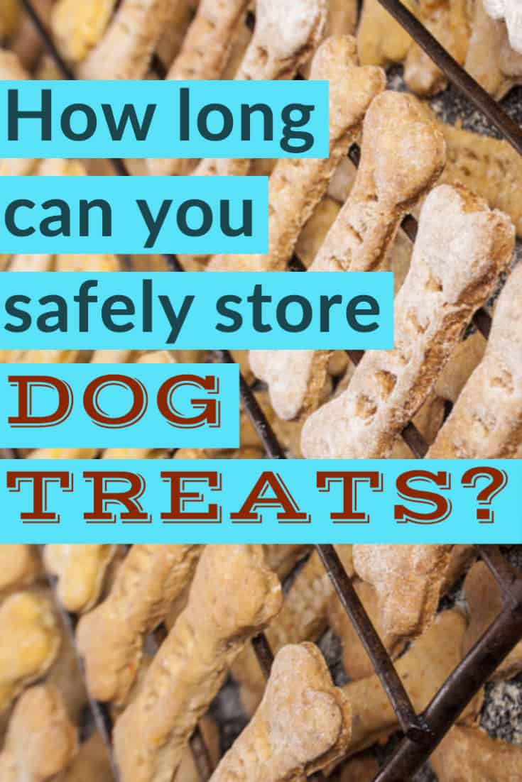 how do you keep homemade dog treats fresh